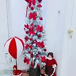 住宿加早餐酒店 Tp Luxury 4*